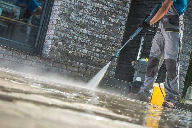 Best House Exterior Washing  in Mila Doce, TX